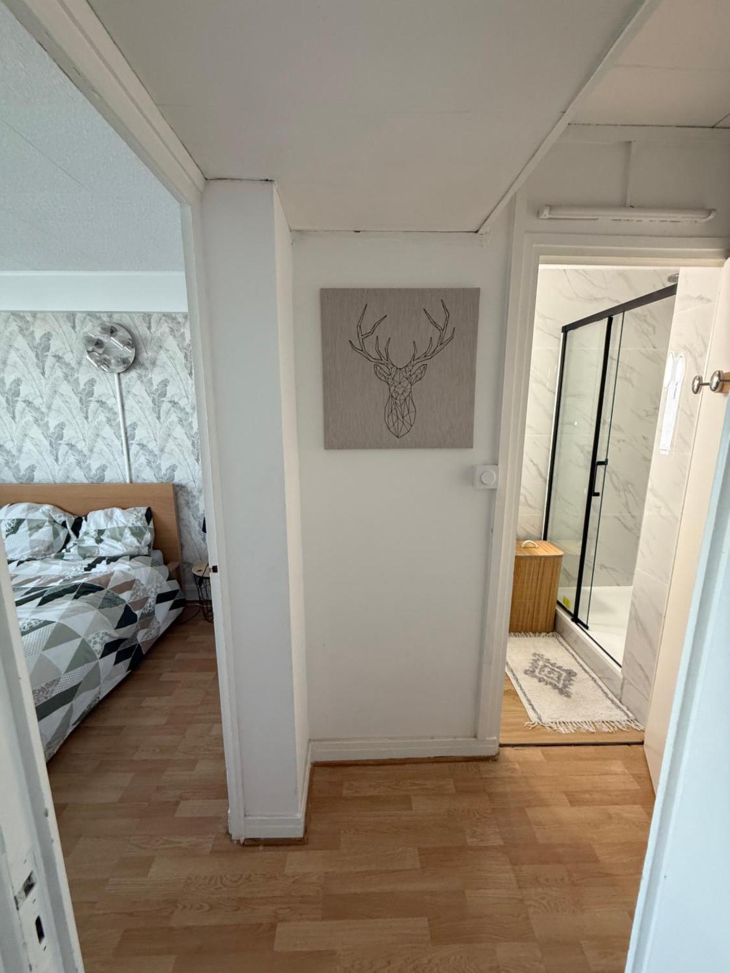 Апартаменты Superbe Duplex Avec Parking Gratuit Гренобль Экстерьер фото